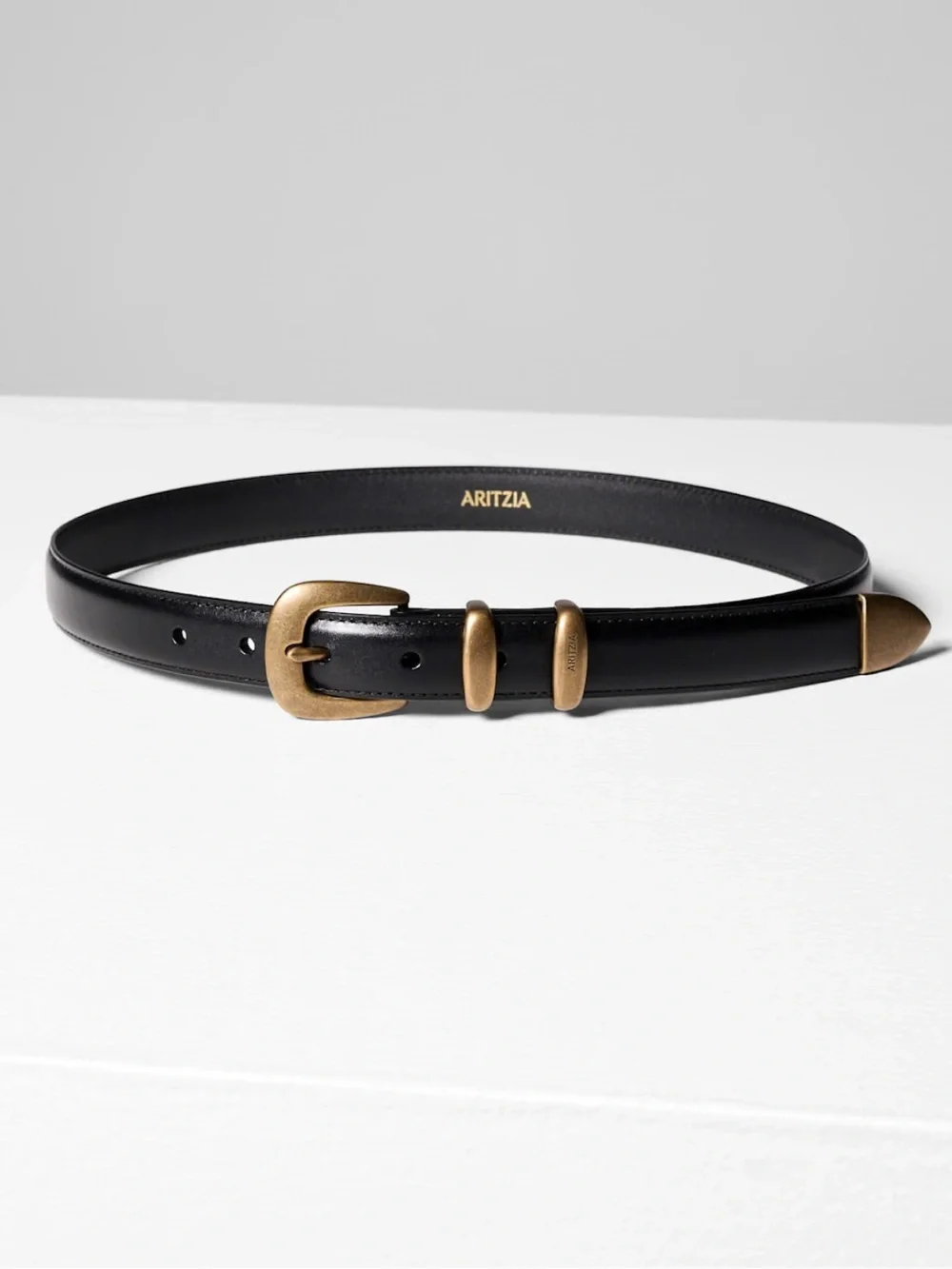 Aritzia Legendary Solid Brass Leather Belt
